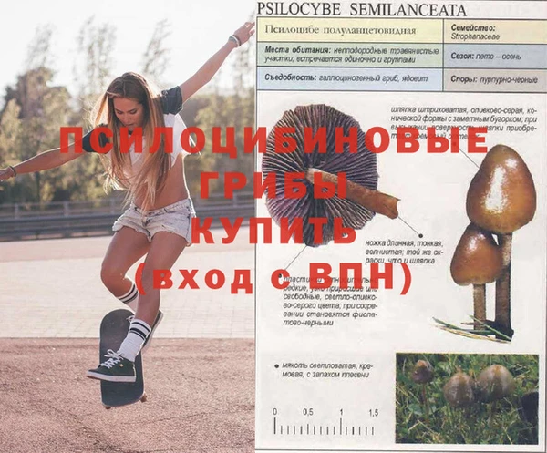 кокаин премиум Горнозаводск