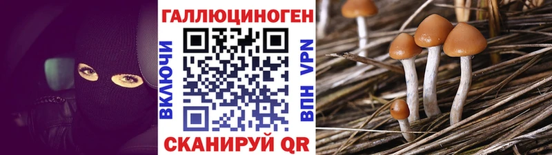 hydra ССЫЛКА  Дедовск  Галлюциногенные грибы прущие грибы 