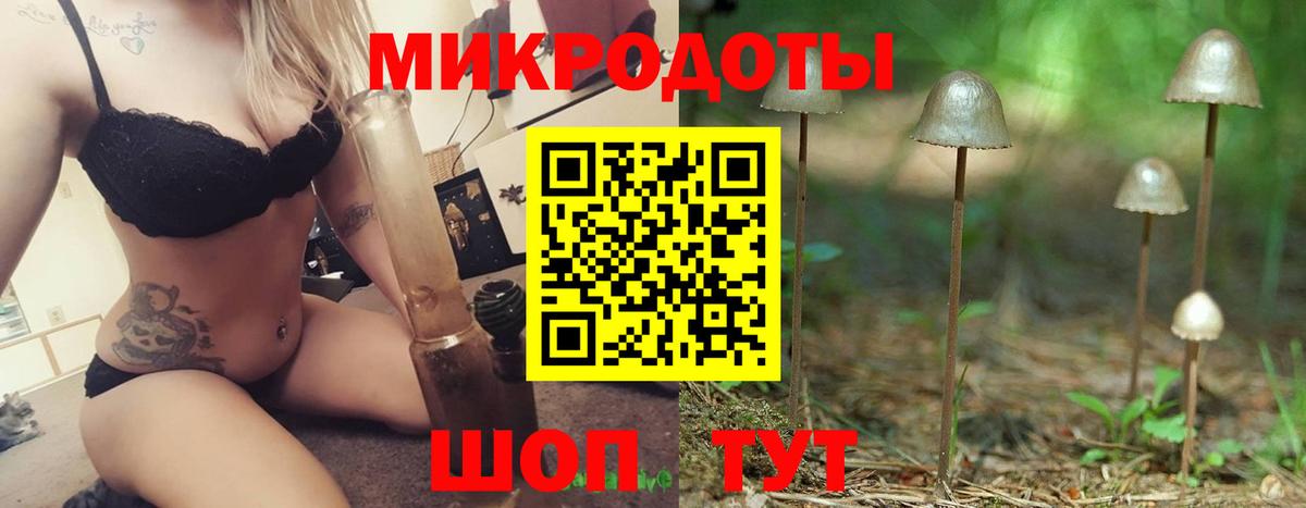 Дедовск  Псилоцибиновые грибы Psilocybe  Вход с VPN 